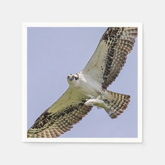 Osprey met vis servet (Voorkant)