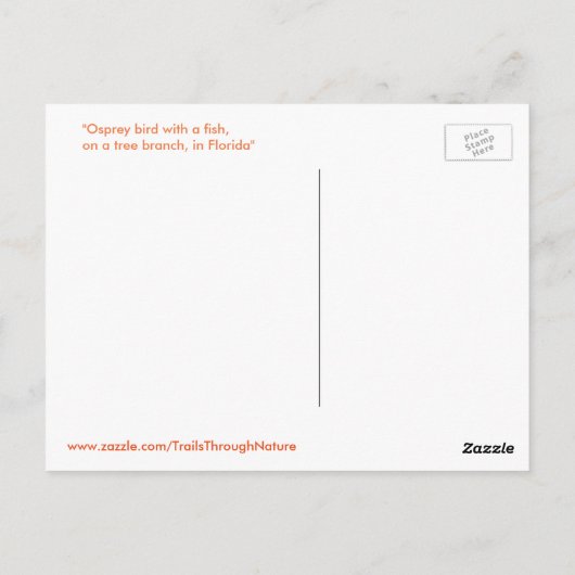 Osprey met visBriefkaart Briefkaart (Achterkant)