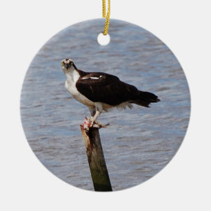 Osprey met visversiering keramisch ornament