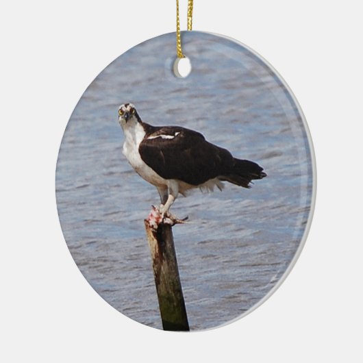 Osprey met visversiering keramisch ornament (Links)