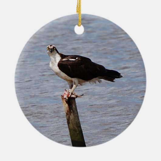 Osprey met visversiering keramisch ornament (Achterkant)