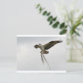 Osprey moss briefkaart (Staand voorkant)