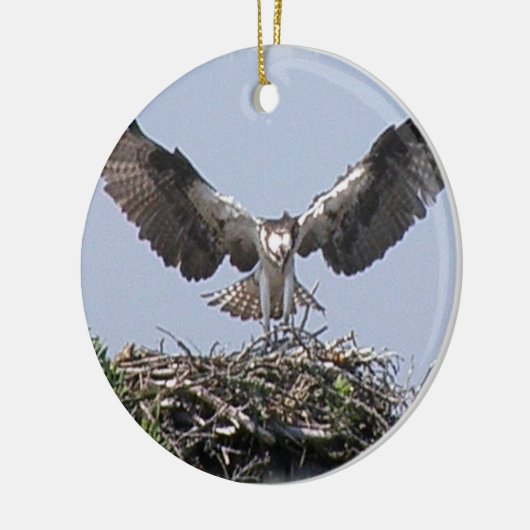 Osprey Nest Ornament (Links)