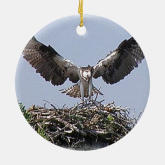 Osprey Nest Ornament (Achterkant)