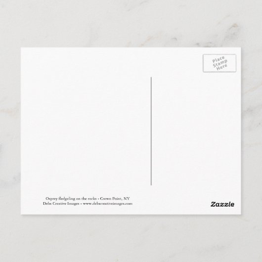 Osprey op de rotsen briefkaart (Achterkant)