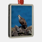 Osprey op de rotsen metalen ornament (Rechts)