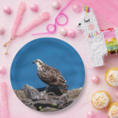 Osprey op de rotsen papieren bordje (Feest)