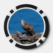 Osprey op de rotsen pokerchips (Achterkant)