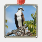 Osprey Ornament (Voorkant)
