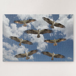 Osprey parade aan de hemel legpuzzel