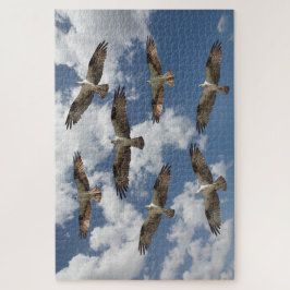 Osprey parade aan de hemel legpuzzel
