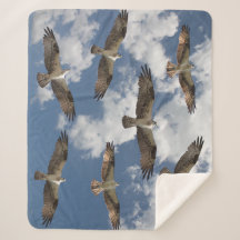 Osprey parade in de sky Sherpa fleece deken