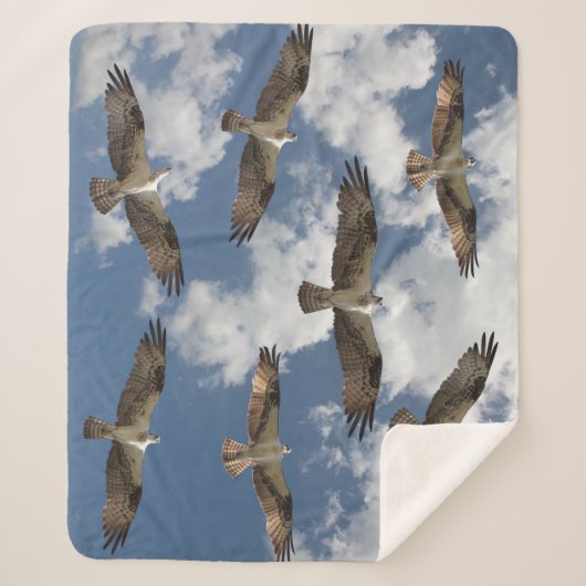 Osprey parade in de sky Sherpa fleece deken (Voorkant)