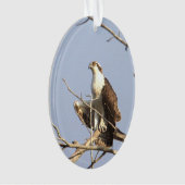 Osprey Photo-Ornament Ornament (voorkant)