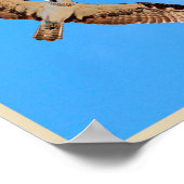 Osprey Poster (Hoek)