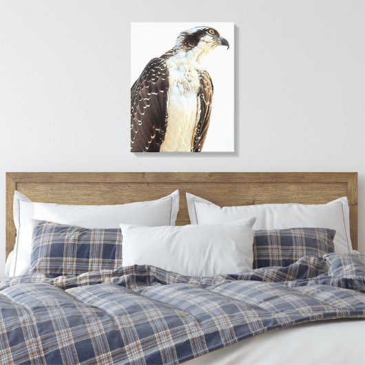 Osprey Profile Wrapped Canvas Afdruk (Insitu (Slaapkamer))