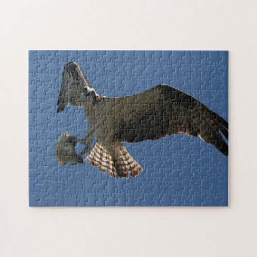 Osprey Raptor Bird Fish Wildlife Animal Zee Puzzle Legpuzzel (Horizontaal)
