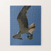 Osprey Raptor Bird Fish Wildlife Animal Zee Puzzle Legpuzzel (Verticaal)