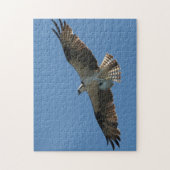 Osprey Raptor Bird Fish Wildlife Animal Zee Puzzle Legpuzzel (Verticaal)