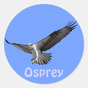Osprey Raptor Birdlover's Wilde Sticker