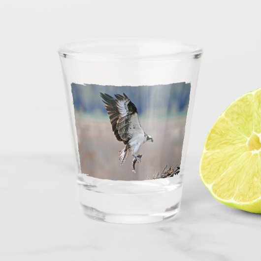Osprey Shot Glas (Voorkant)
