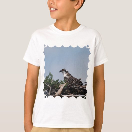 Osprey Sitting on Nest Youth T-Shirt (Voorkant)