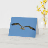 Osprey stijgt naar u-frameable art-Kaart Kaart (Gele Bloem)