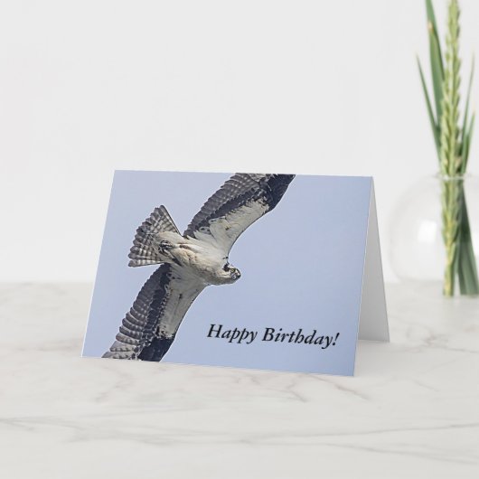 Osprey tijdens de vlucht kaart (Voorkant)