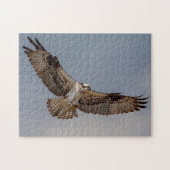 Osprey tijdens de vlucht legpuzzel (Horizontaal)