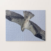 Osprey tijdens de vlucht legpuzzel (Horizontaal)