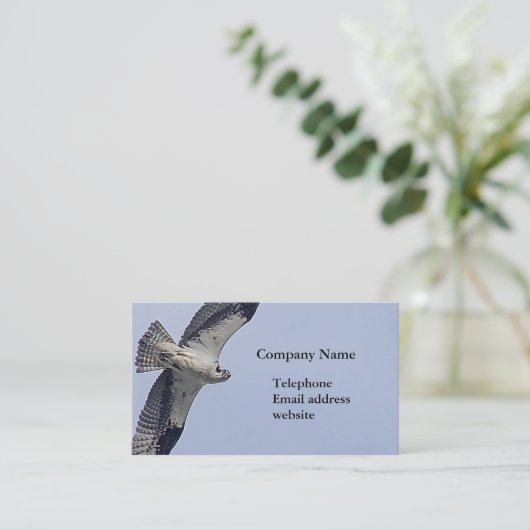 Osprey tijdens de vlucht visitekaartje (Staand voorkant)