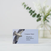 Osprey tijdens de vlucht visitekaartje (Staand voorkant)