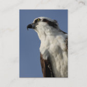 osprey visitekaartje (Achterkant)