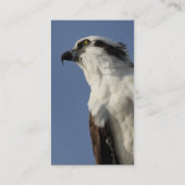 osprey visitekaartje (Achterkant)