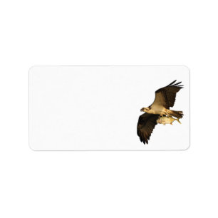 Osprey Vissen Etiket