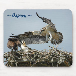 Osprey vliegend nest Mousepad Muismat
