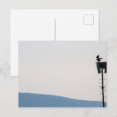 Osprey voor de berg Desert Island, Maine Briefkaart (Voorkant / Achterkant)