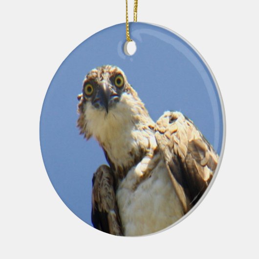 Osprey Watching Keramisch Ornament (Links)