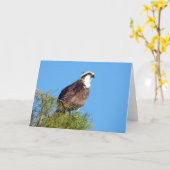 Osprey Wenskaart Kaart (Gele Bloem)