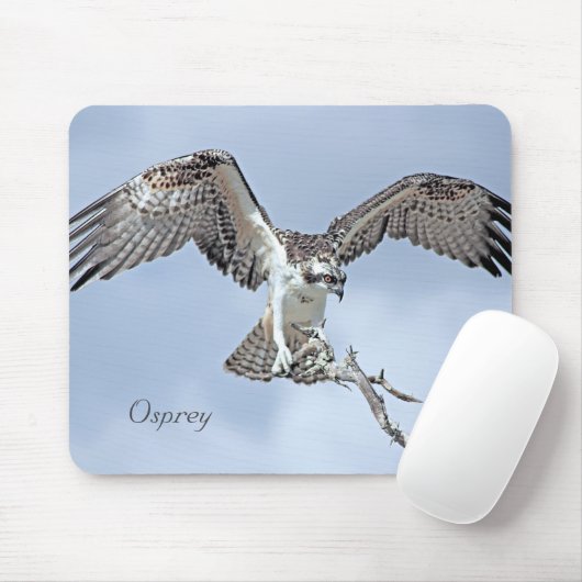Osprey Wingspan Mousepad Muismat (Met muis)