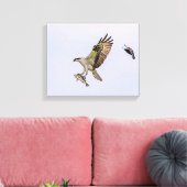Osprey wordt achtervolgd door een rode gevleugelde canvas afdruk (Insitu (Woonkamer))