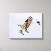 Osprey wordt achtervolgd door een rode gevleugelde canvas afdruk (Voorkant)