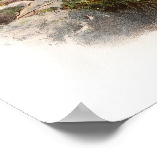 Osprey Zee Hawk John Gould Birds of Great Britain Poster (Hoek)