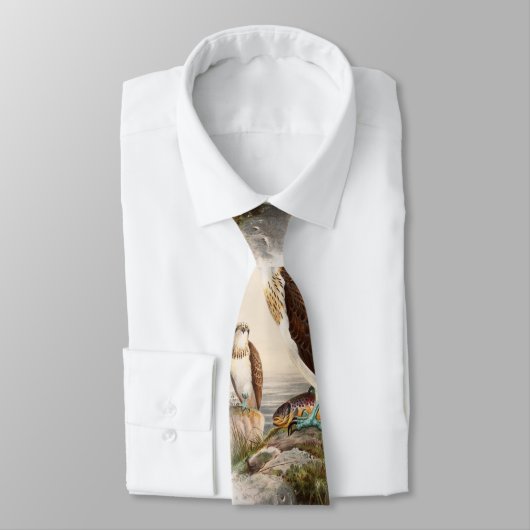 Osprey Zee Hawk John Gould Birds of Great Britain Stropdas (Gebonden)