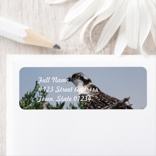 Osprey Zittend op Nest Mailing Labels (Insitu)