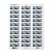 Osprey Zittend op Nest Mailing Labels (Full Sheet)
