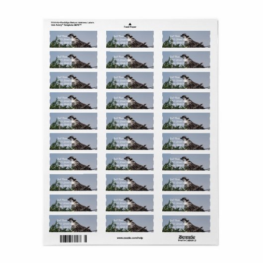 Osprey Zittend op Nest Mailing Labels (Full Sheet)