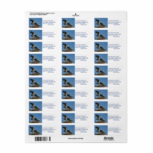 Ospreys Hawks retourneren adreslabels Etiket (Full Sheet)