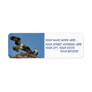 Ospreys Hawks Return Address Labels