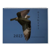 Ospreys in Action 2023 Calendar Kalender (Hoes)